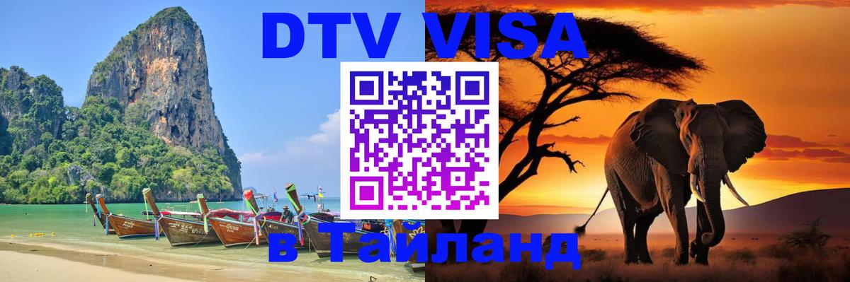Оформление DTV визы под ключ: стоимость и тарифы, только загранпаспорт - Эль-Кувейт  20.11.2025 